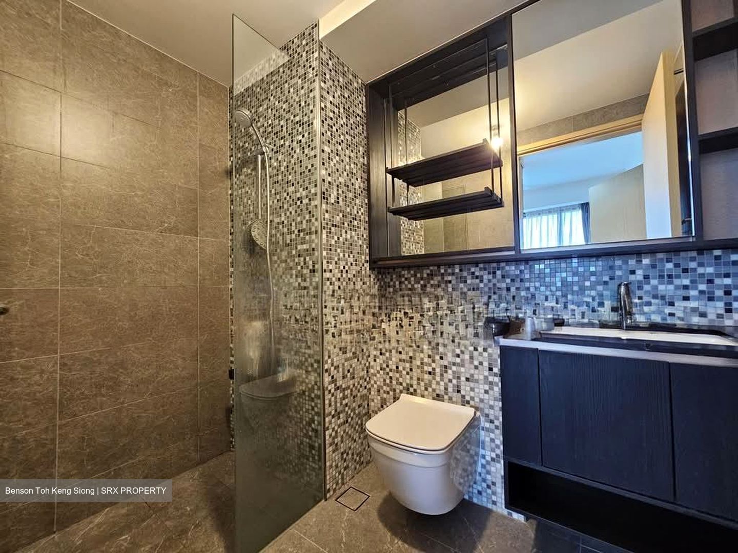 The Antares (D14), Apartment #539545111